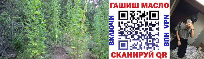 Купить закладки  Абинск  Дистиллят ТГК Wax 