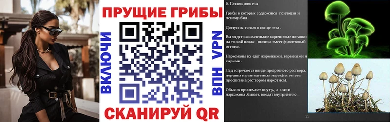 Купить где  Абинск  Псилоцибиновые грибы GOLDEN TEACHER 